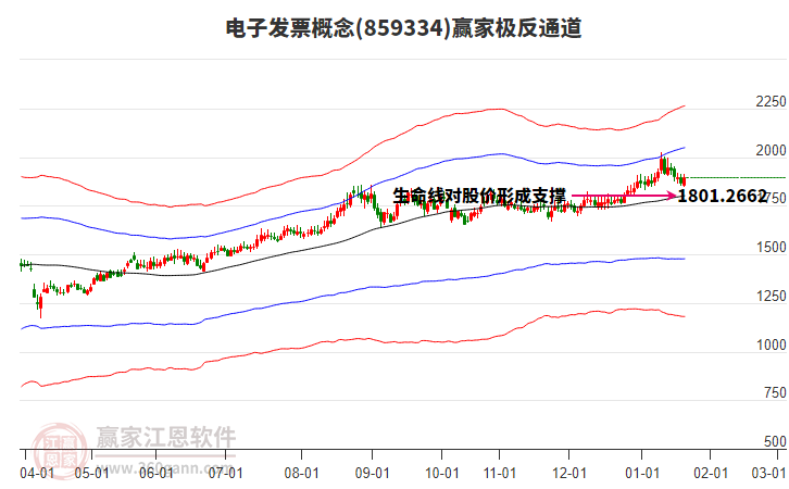859334電子發(fā)票贏家極反通道工具