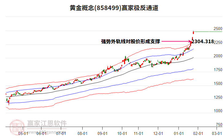 858499黃金贏家極反通道工具