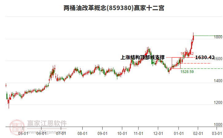 859380兩桶油改革贏家十二宮工具 859380兩桶油改革贏家十二宮工具