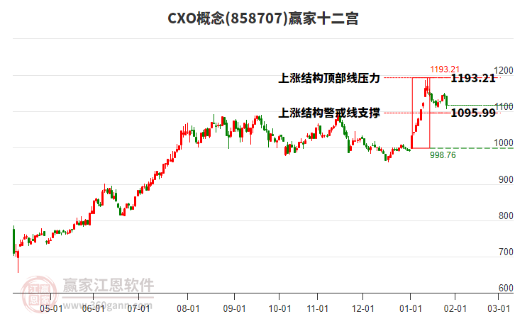 858707CXO贏家十二宮工具