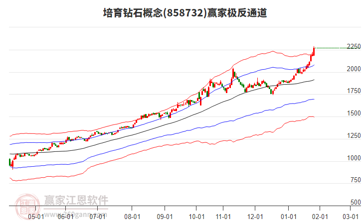 858732培育鉆石贏家極反通道工具