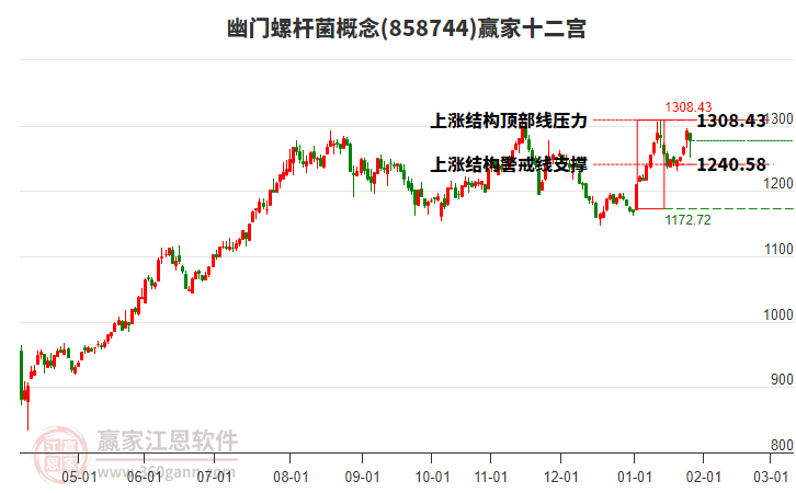 858744幽門螺桿菌贏家十二宮工具 858744幽門螺桿菌贏家十二宮工具