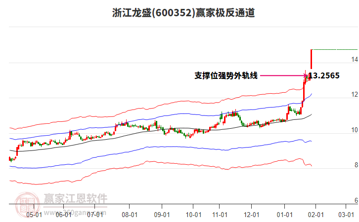 600352浙江龍盛贏家極反通道工具