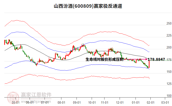 600809山西汾酒贏家極反通道工具