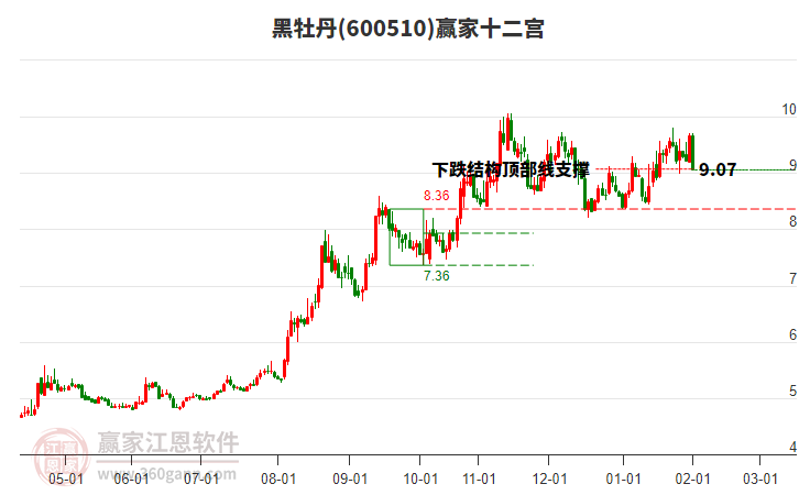 600510黑牡丹贏家十二宮工具