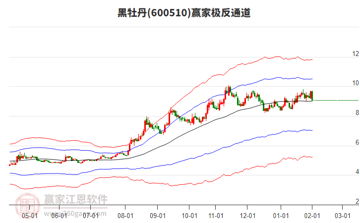 600510黑牡丹贏家極反通道工具