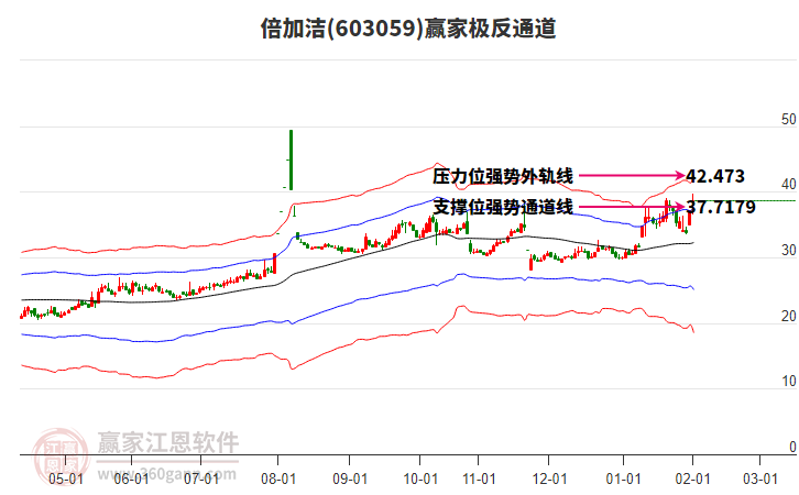 603059倍加潔贏家極反通道工具