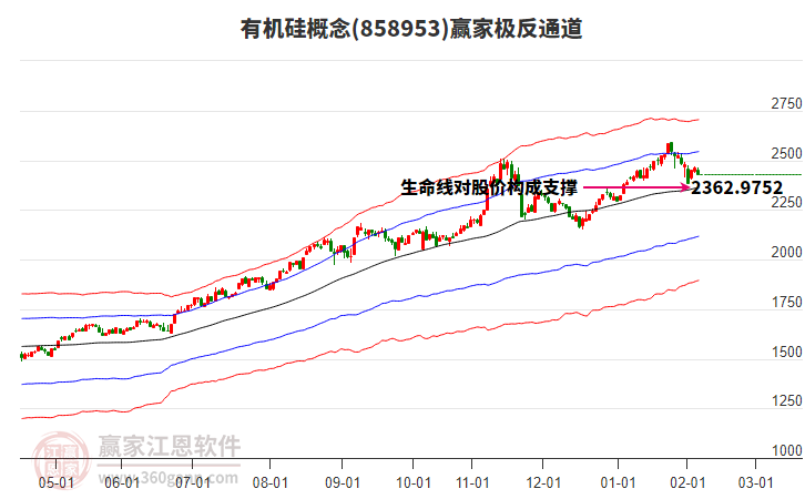858953有機(jī)硅贏家極反通道工具