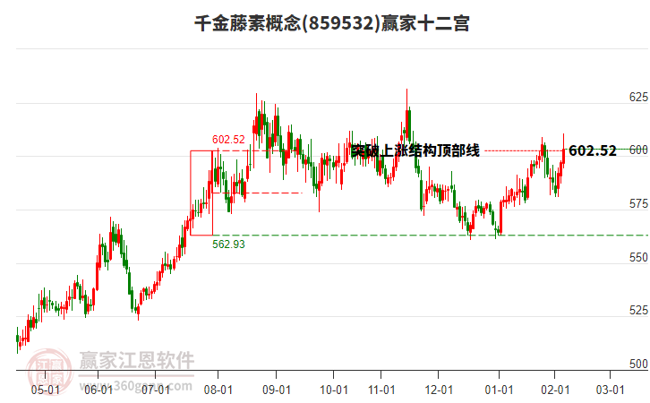 859532千金藤素贏家十二宮工具