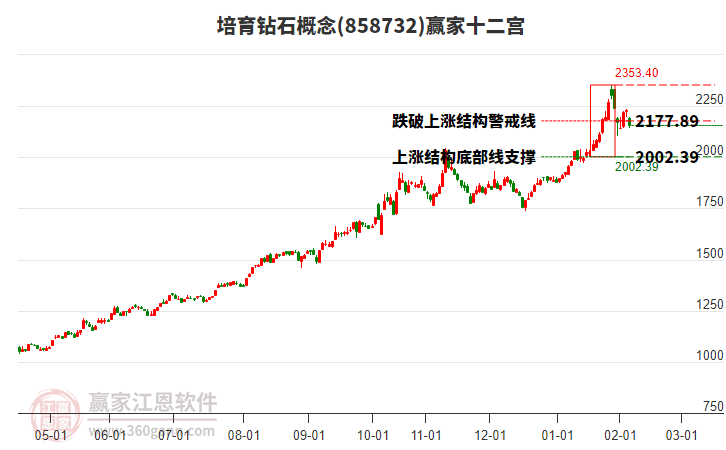858732培育鉆石贏家十二宮工具