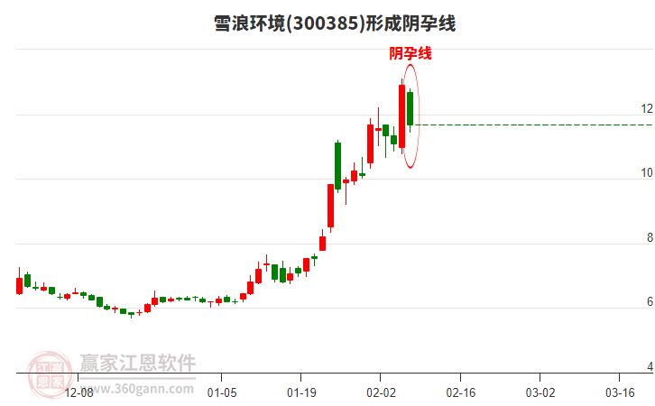 雪浪環(huán)境300385形成陰孕線形態(tài)