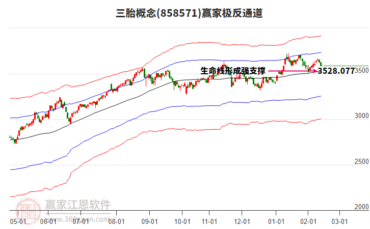 858571三胎贏家極反通道工具