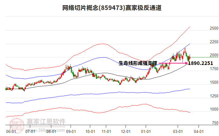 859473网络切片赢家极反通道工具