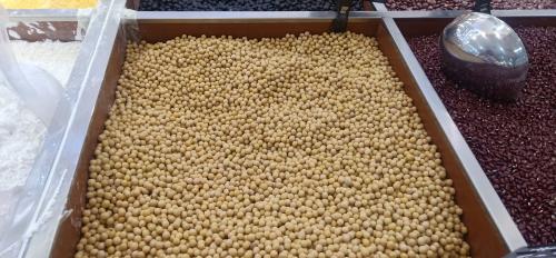 国产豆价格分化 贸易商积极应对
