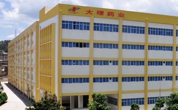 大理藥業(yè) 大理藥業(yè)