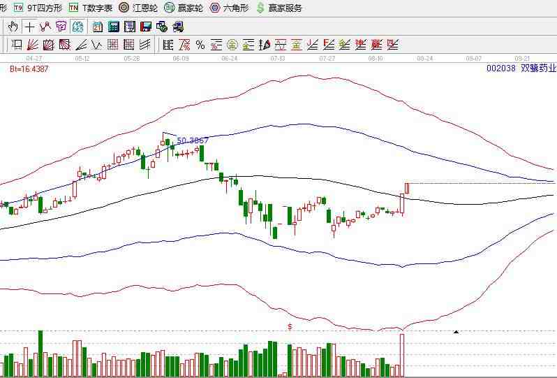 中央?yún)R金持雙鷺?biāo)帢I(yè)800余萬(wàn)股 為第四大股東.jpg