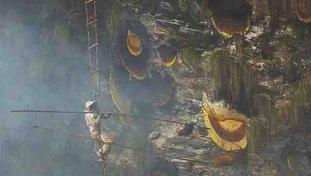 揭秘尼泊尔蜂蜜猎人 爬悬崖采蜜