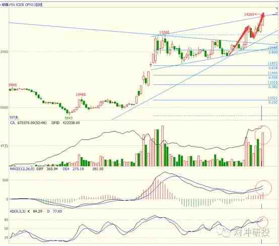 漲到?jīng)]朋友 小神棉為什么這么牛？