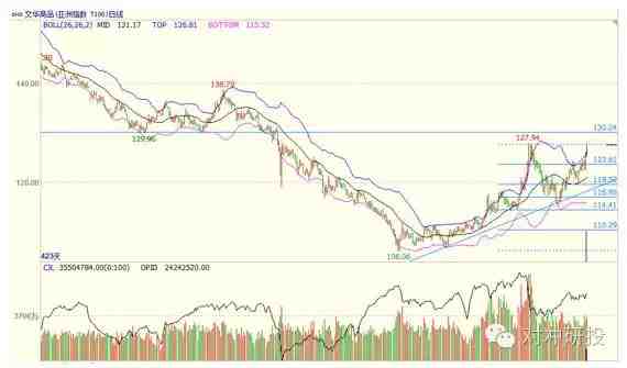 漲到?jīng)]朋友 小神棉為什么這么牛？