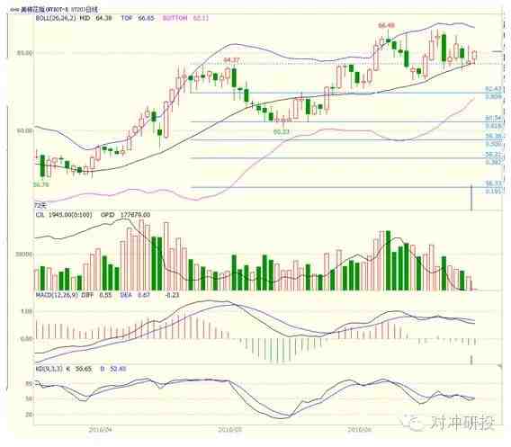 漲到?jīng)]朋友 小神棉為什么這么牛？
