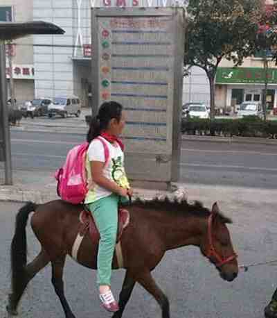 骑马去学校