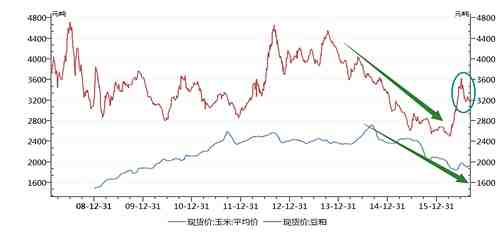 資料來源:wind 美爾雅期貨