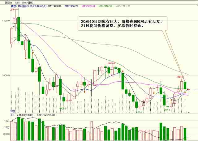 10、美玉米12