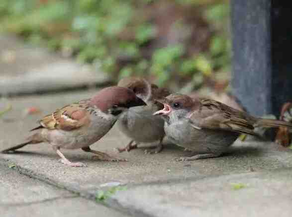 如何吸引观众的心弦