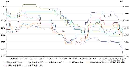 9月玉米開啟下跌模式 10月行情將如何演繹？