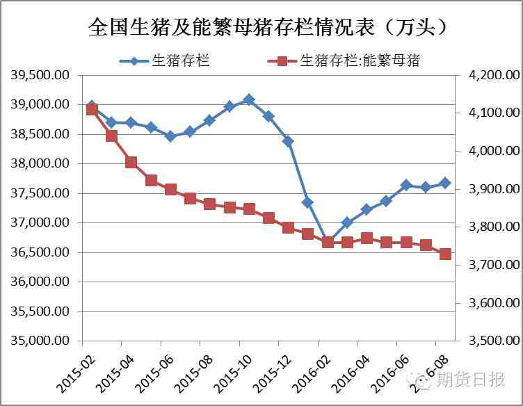 生豬存欄方面，8月份生豬存欄量為3.7671億頭，環(huán)比增長(zhǎng)0.2%，同比減少2.8%，能繁母豬存欄量為3729萬(wàn)頭，環(huán)比下將0.6%，同比下降3%。能繁母豬持續(xù)減少，未來(lái)養(yǎng)殖規(guī)模增長(zhǎng)堪憂。目前市場(chǎng)供需博弈激烈，豬價(jià)震蕩調(diào)整，截至9月23日，全國(guó)22個(gè)省市生豬平均價(jià)為17.92元/公斤，較上月回落0.58元/公斤；養(yǎng)殖利潤(rùn)繼續(xù)回落，自繁自養(yǎng)生豬養(yǎng)殖利潤(rùn)為663.2元/頭，較上月下降87.34元/頭。