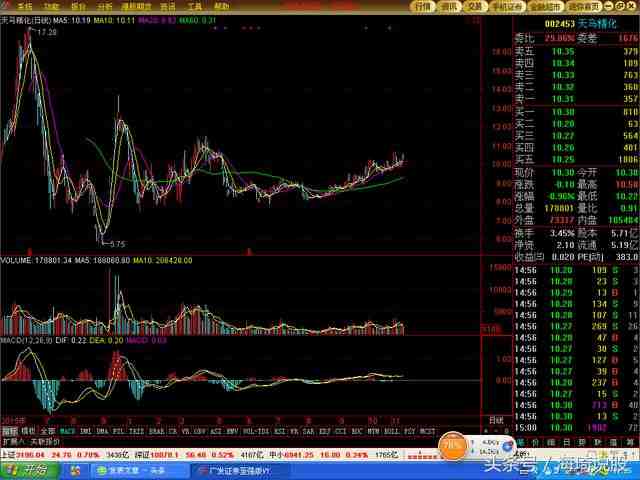 天馬精化：正宗的股權(quán)轉(zhuǎn)讓概念