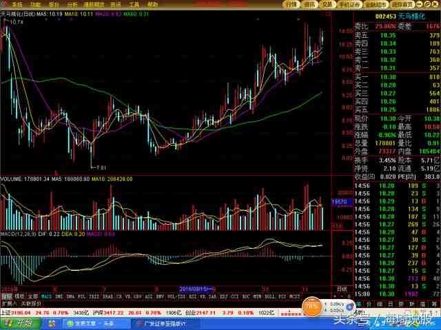 天馬精化：正宗的股權(quán)轉(zhuǎn)讓概念