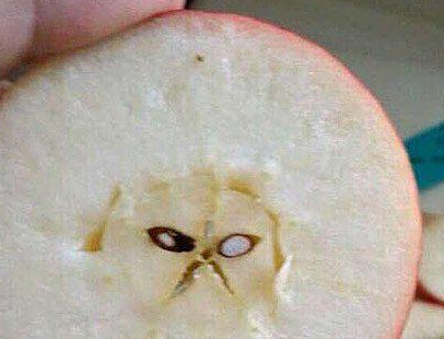 愤怒的苹果核表情