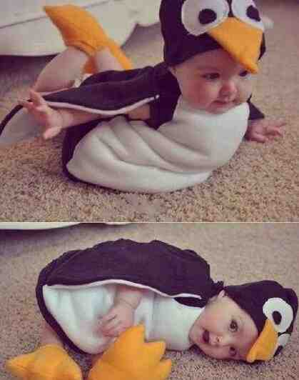 这么萌的小企鹅宝宝