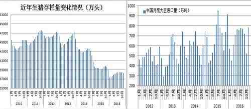 从生猪价格和需求数量上看，中国2016年1-11月生猪屠宰量总计为18777.73万头，出栏均价18.23元/公斤，2015年同期分别为19090.3万头，15.15元/公斤。中国海关数据显示，2016年1-11月进口猪肉总计为1506840吨（折合生猪2152.63万头），均价为13.00元/公斤。2015年同期分别为681828吨（折合974.04万头），11.51元/公斤。此间人民币离岸价由6.0153-6.4510区间跌至6.4531-6.9686区间。数据对比可以发现，随着汇率贬值，进口猪肉的优势在逐渐减弱。