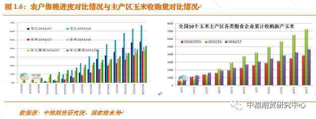 春季3-4月份，東北農(nóng)戶在氣溫回暖前，必須將地趴玉米賣(mài)掉，以防霉變。
