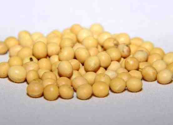 美豆或已無(wú)法避免出口需求的進(jìn)一步轉(zhuǎn)移