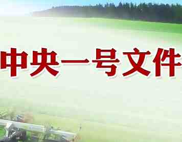 一號文件調(diào)結(jié)構(gòu)為主 提高DDGS進(jìn)口稅利于去庫存