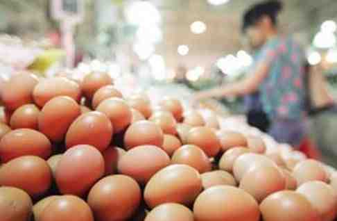 雞蛋產(chǎn)量供大于求 蛋價(jià)或繼續(xù)下行