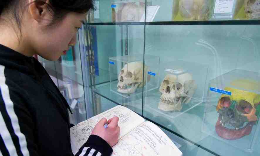 杭州解剖学大二学生手绘笔记图走红   栩栩如生