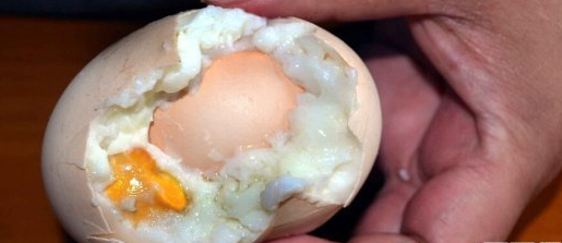 母鸡产下罕见蛋中蛋 比普通鸡蛋大三倍