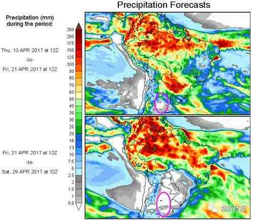 未来两周南美降水预测图