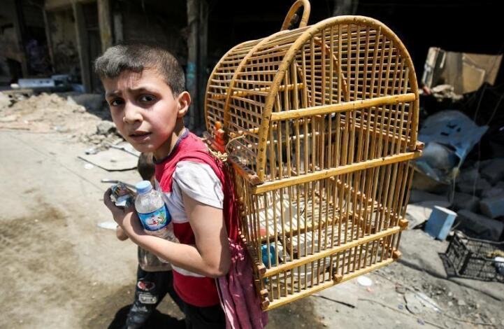 伊拉克军队进攻摩苏尔 男孩背鸟笼逃难