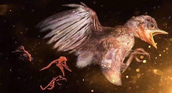 琥珀中发现古雏鸟 亿年雏鸟长相凶狠渗人