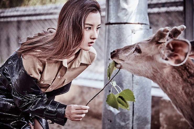 宋祖儿首登杂志封面 化身丛林少女喂食小鹿