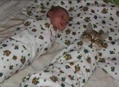 把宝宝和猫咪裹起来睡觉
