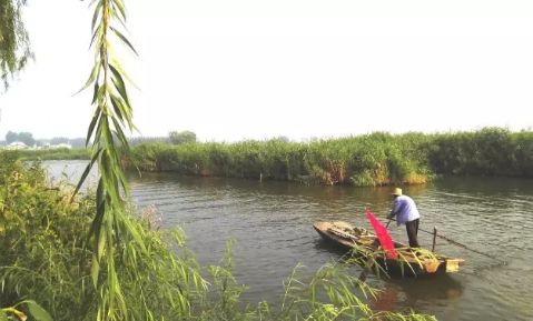 雄安新區(qū)建設(shè)率先治理河道 千億投資即將開啟