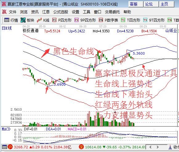福建青山紙業(yè)