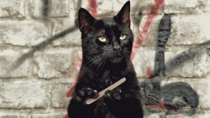 黑猫猫学拉小提琴