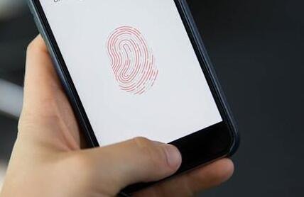 指紋識別圖片 指紋識別圖片